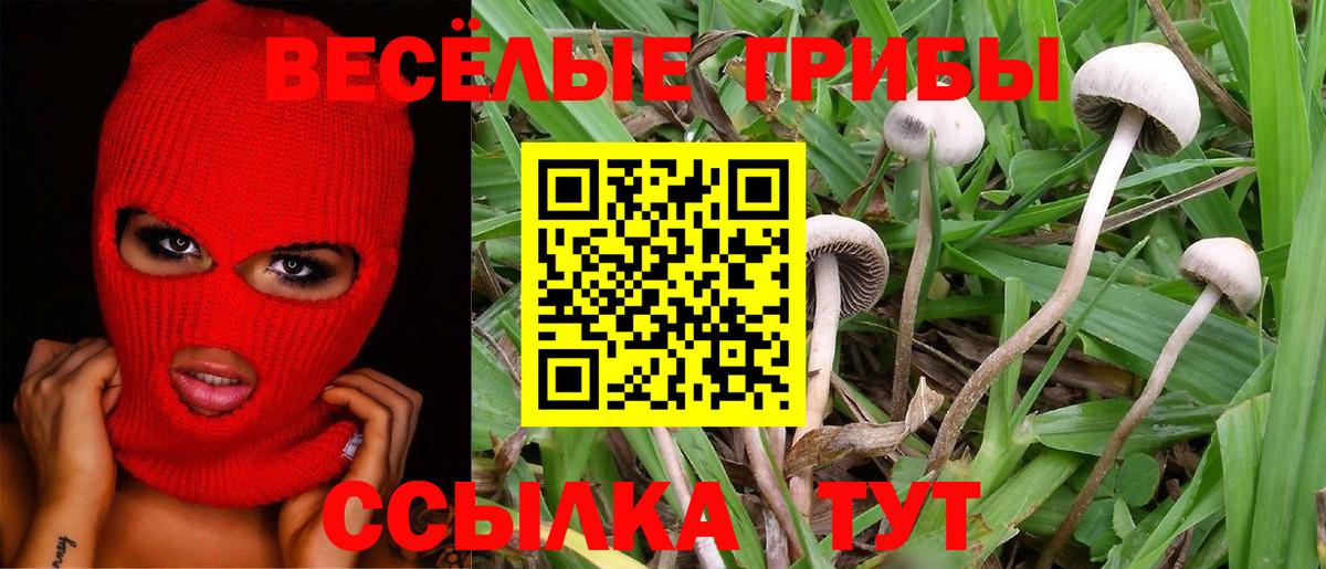 Электросталь  закладка  Вход с VPN  Псилоцибиновые грибы MAGIC MUSHROOMS 